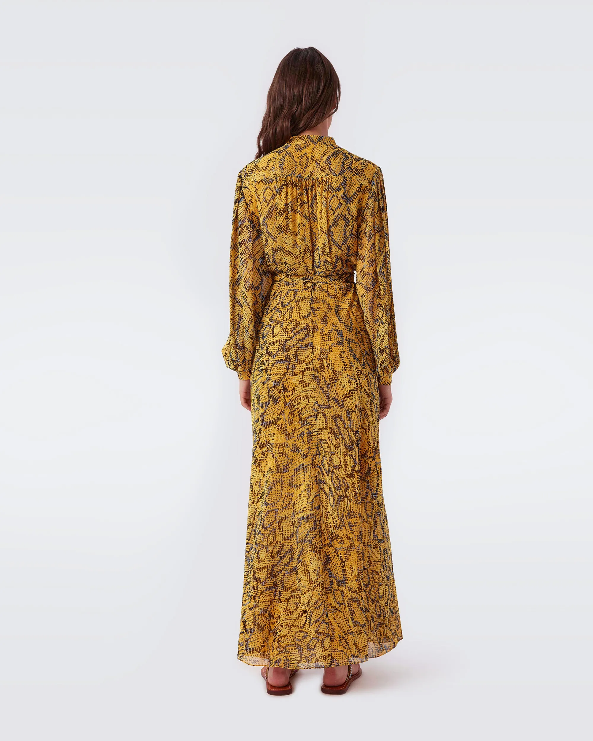 Carter Chiffon Maxi Dress