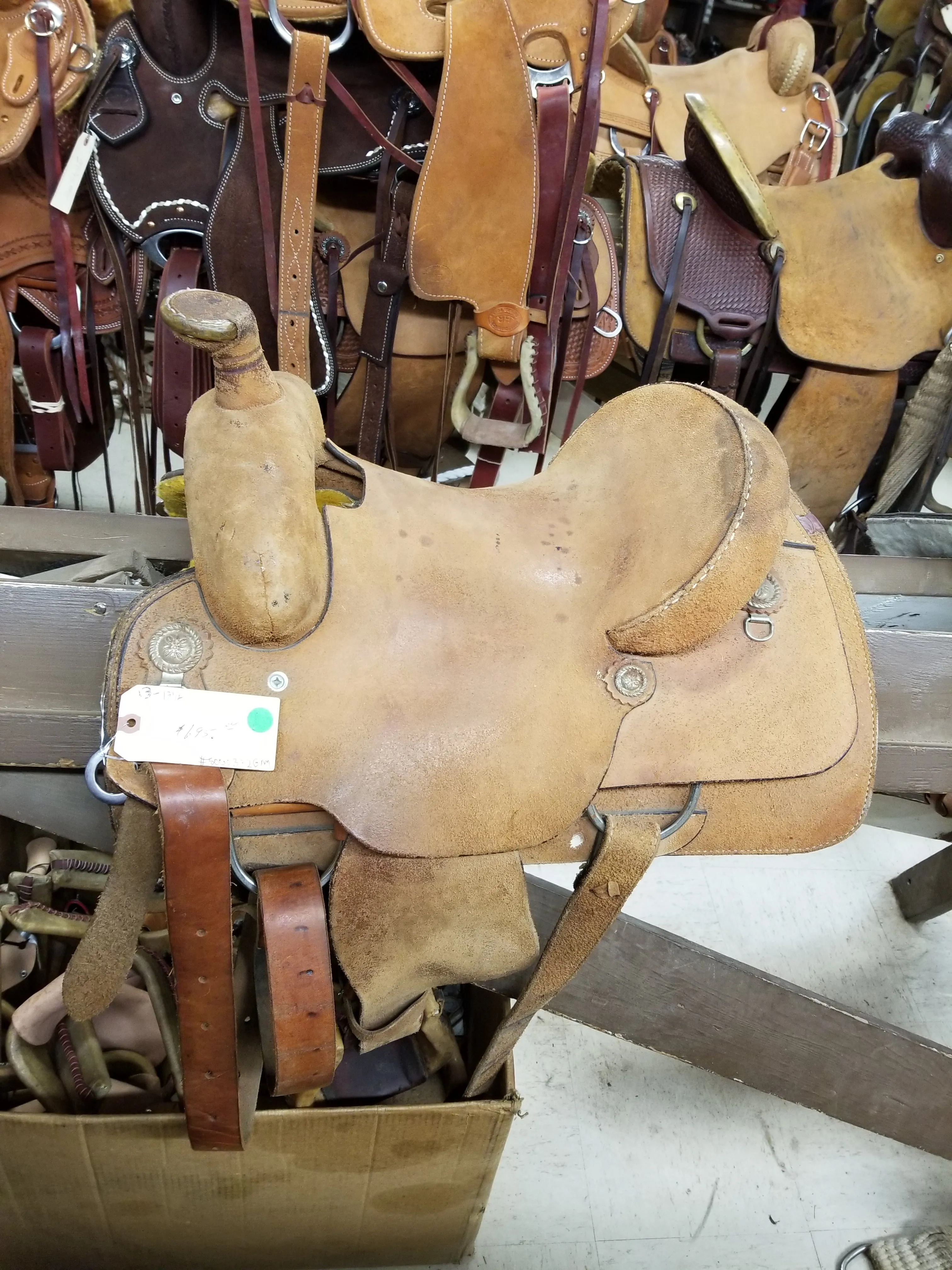 Used Kids Saddle/#8000332GM/13-13 1/2"